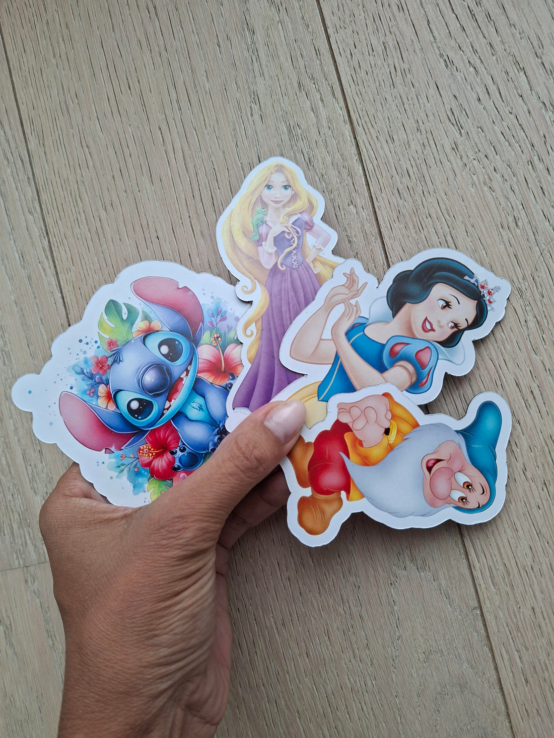 magnets Disney DIY