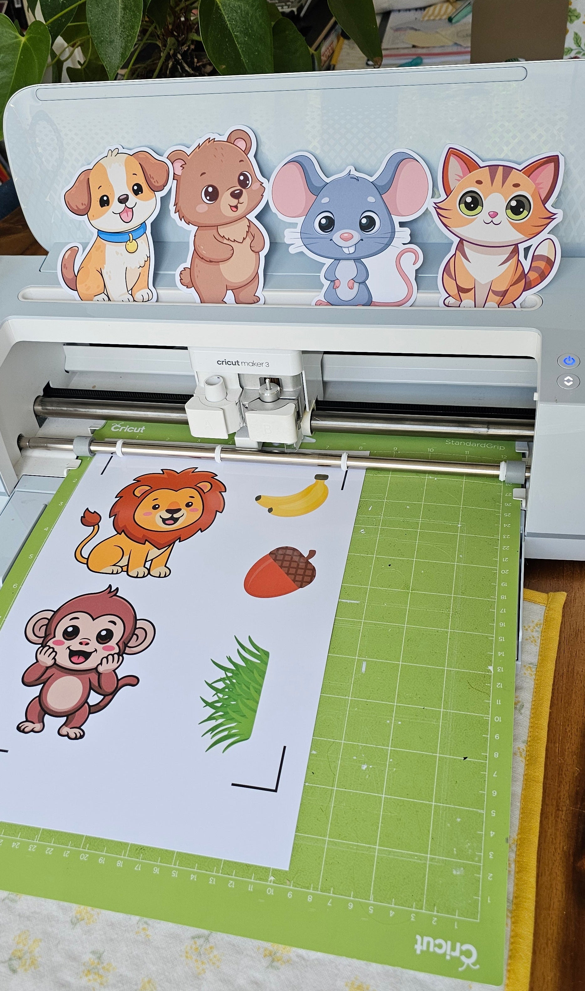 Qui mange quoi ?🐾 – Jeu d'association des animaux